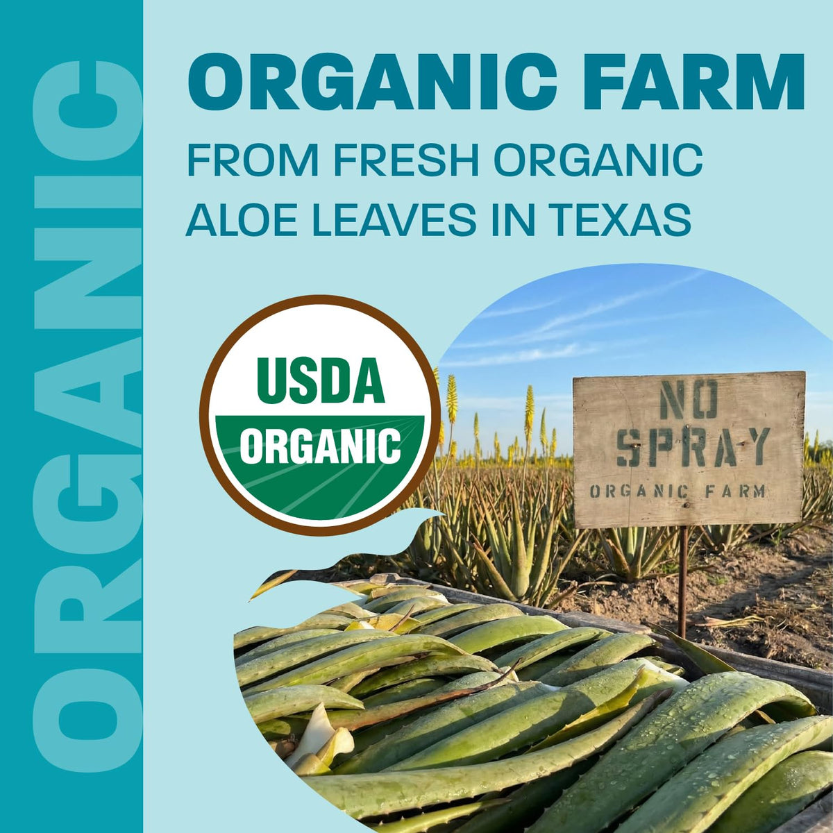Land Art unflavored aloe vera juice for digestive health