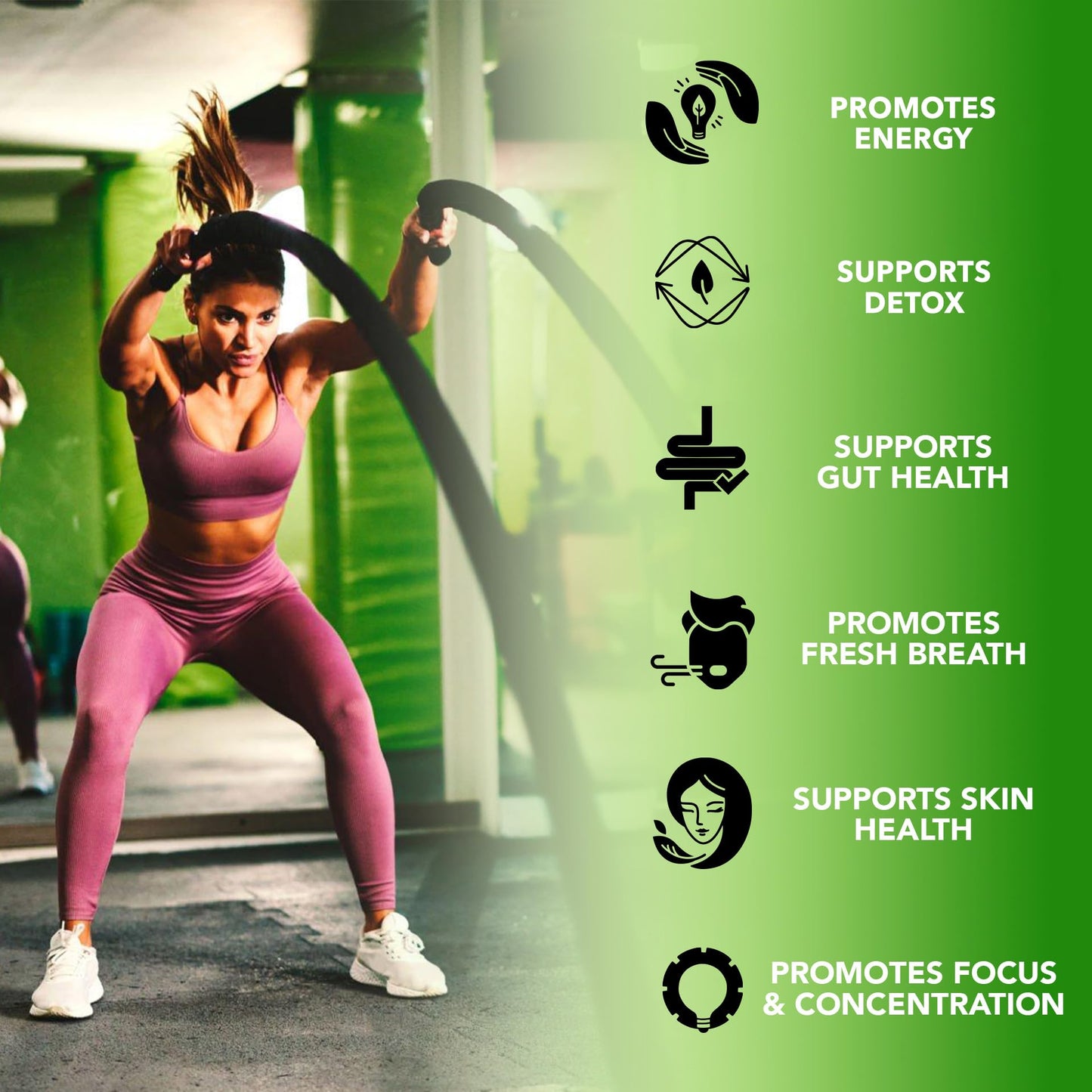 Plant based liquid chlorophyll drops for daily detox and energy support