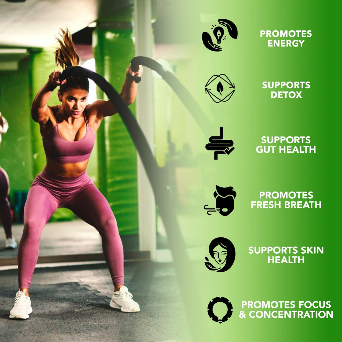 Plant based liquid chlorophyll drops for daily detox and energy support