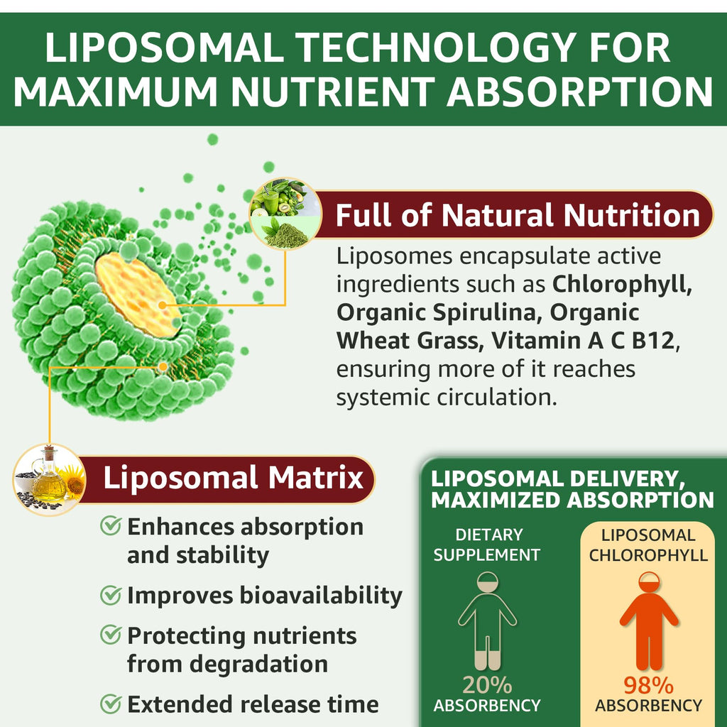 Premium USA imported 6-in-1 liquid greens supplement packaging details.