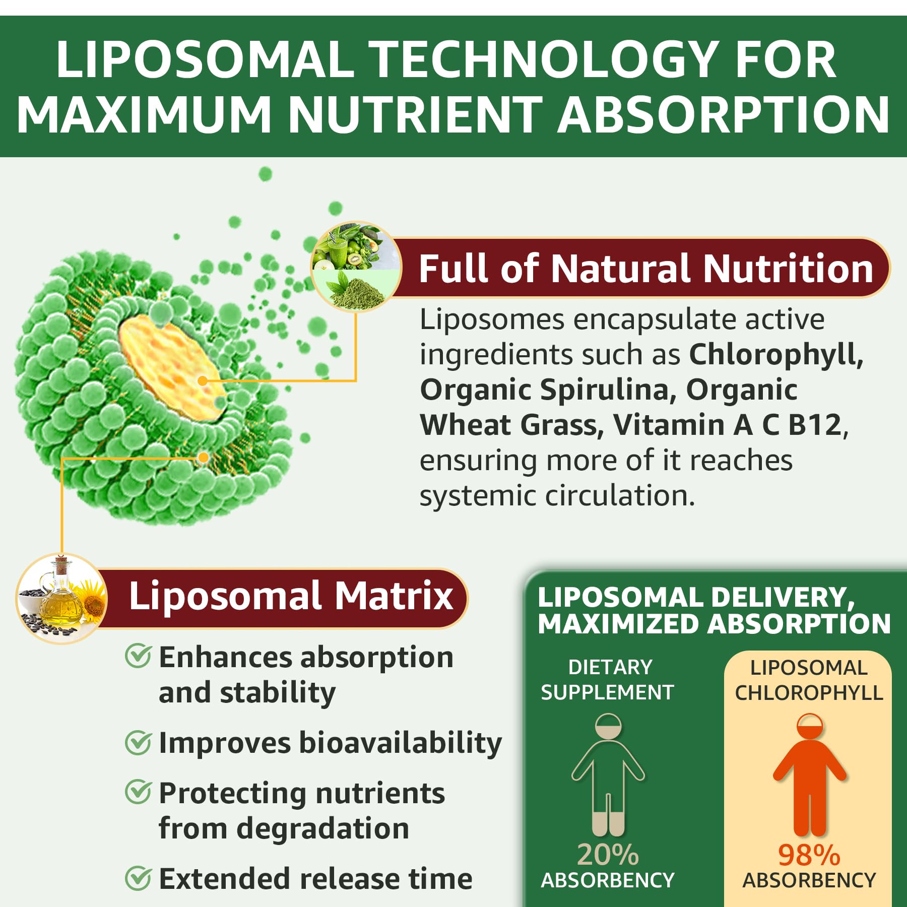 Premium USA imported 6-in-1 liquid greens supplement packaging details.