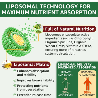 Premium USA imported 6-in-1 liquid greens supplement packaging details.