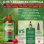 Natural mint flavored chlorophyll liquid drops for high absorption.