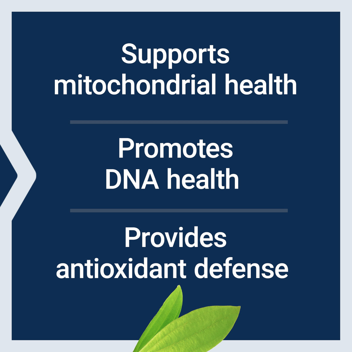 Authentic USA imported Life Extension DNA Protection formula packaging