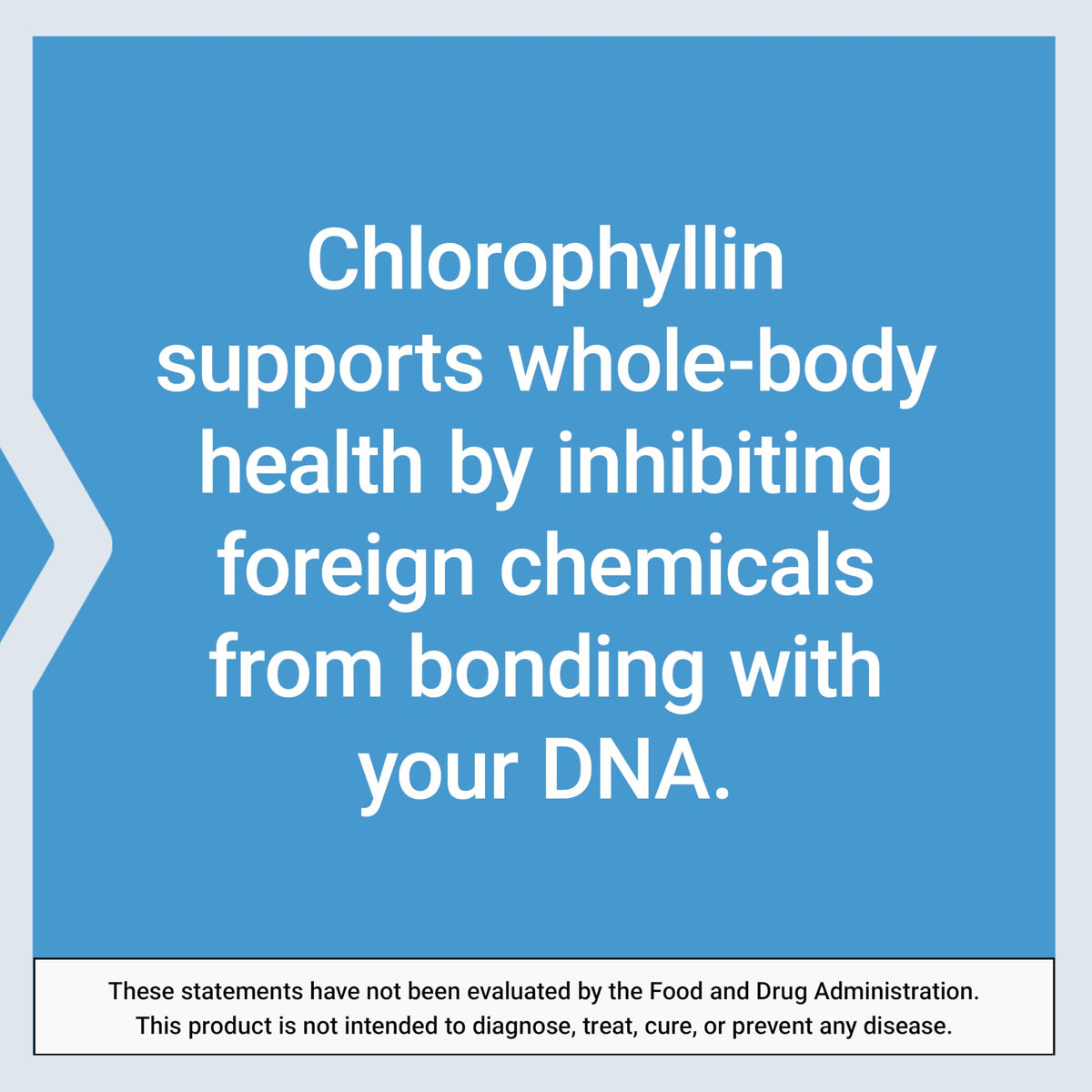 Gluten free and non GMO Life Extension Chlorophyllin 100 capsules seal verification