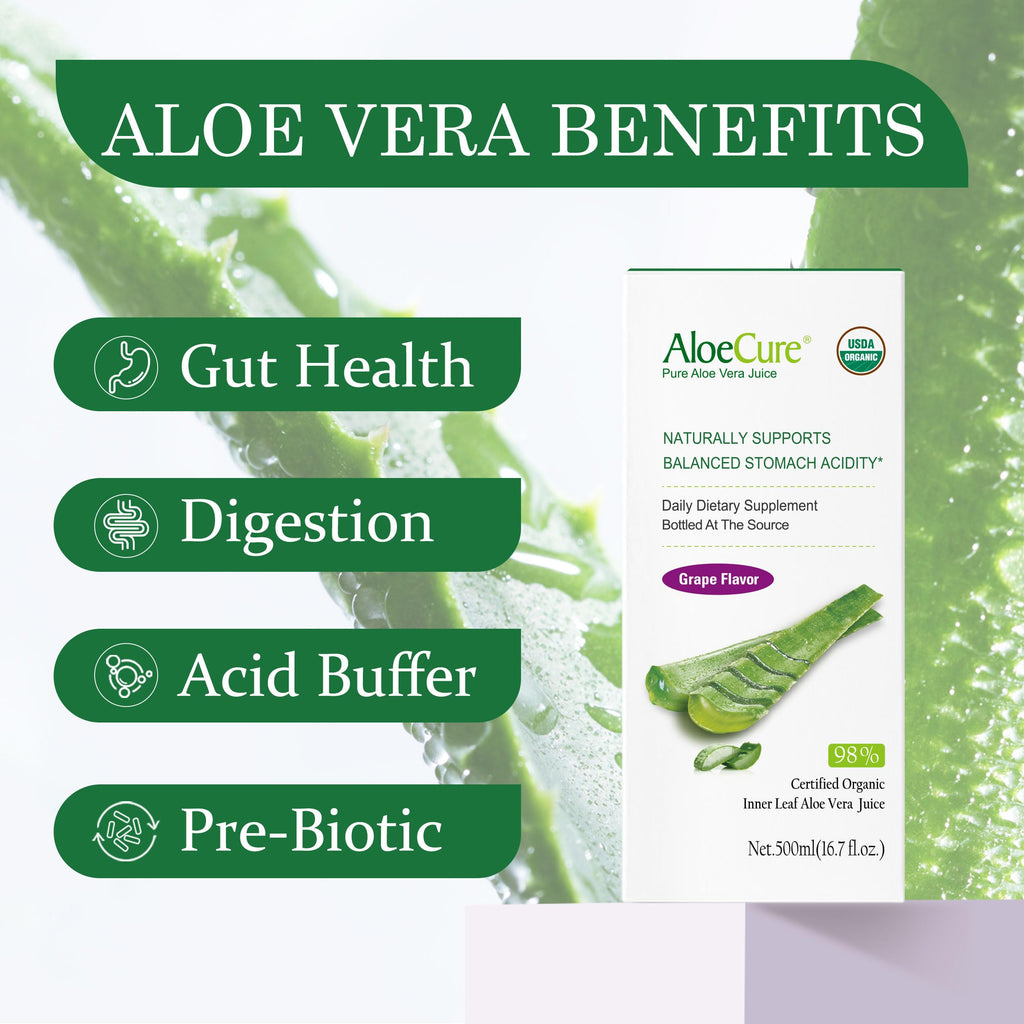 AloeCure 2 pack digestive supplement bottles