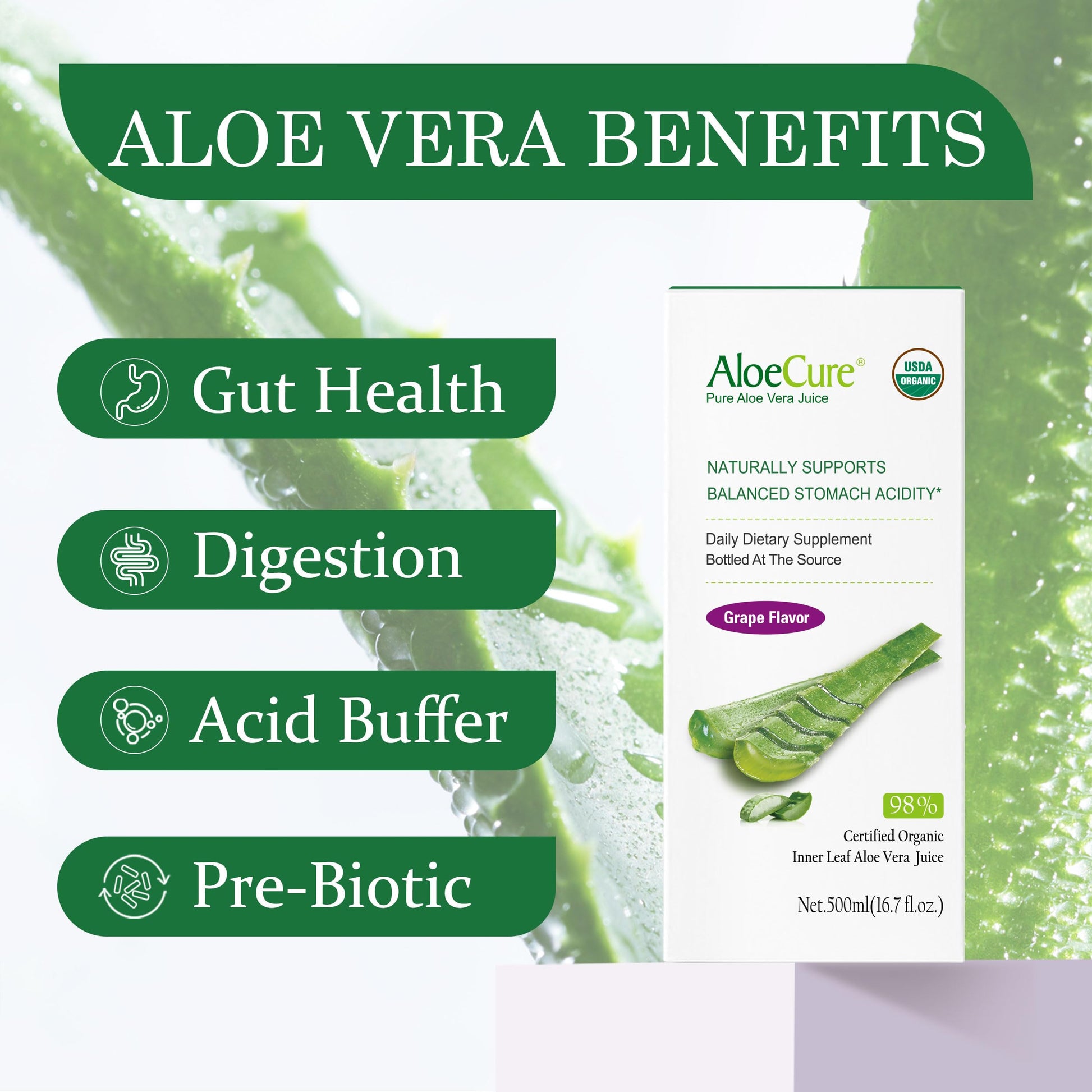 AloeCure 2 pack digestive supplement bottles