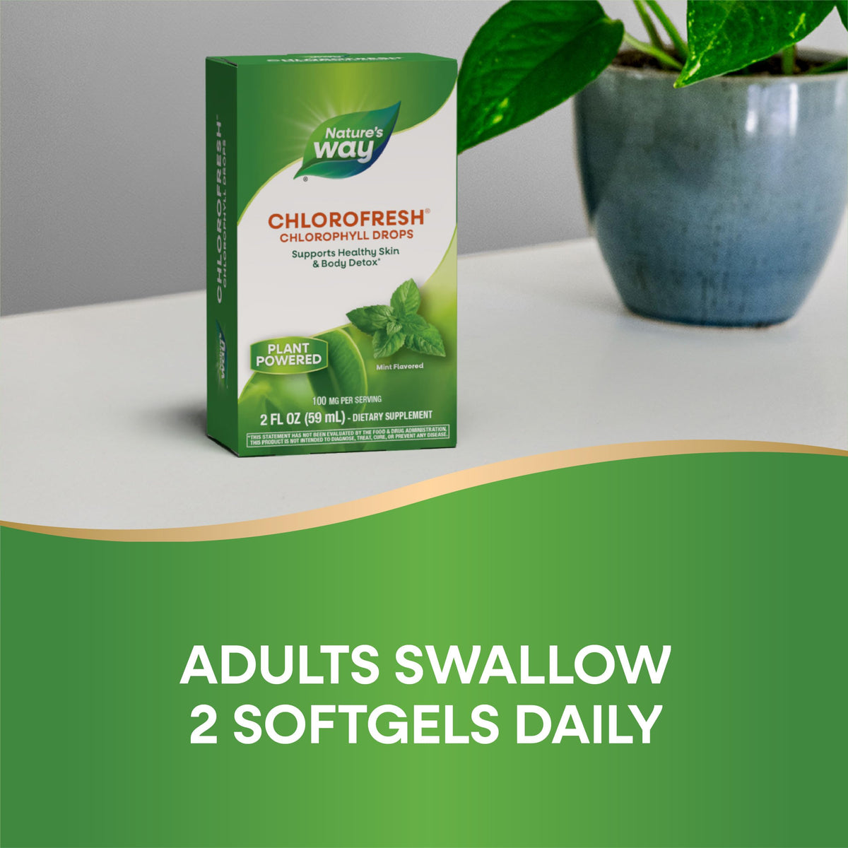 Nature's Way Chlorofresh clean conscious vegan friendly chlorophyll drops formula
