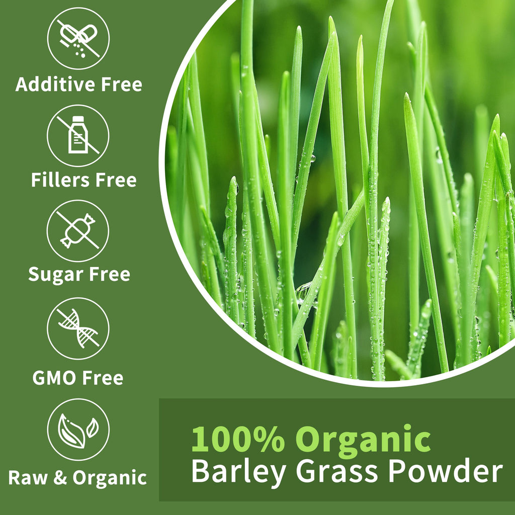 Close up of pure green superfood powder showing ultra fine micronized texture