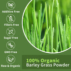 Close up of pure green superfood powder showing ultra fine micronized texture
