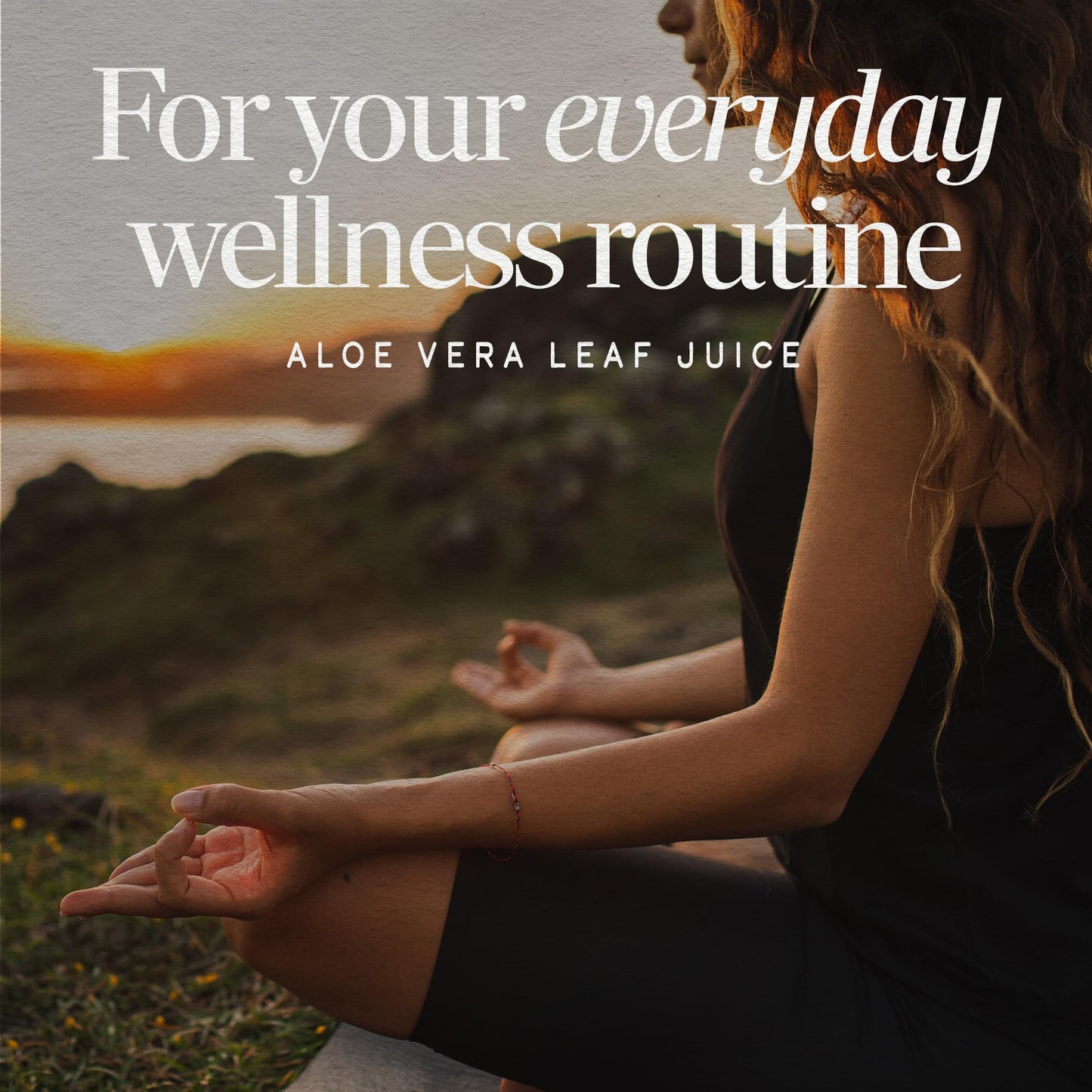 Nature's Way Aloe Vera Concentrated Liquid Supplement ingredient list