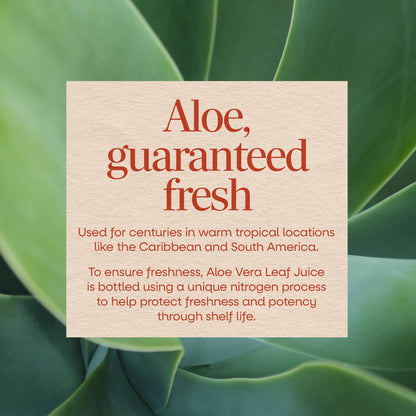 Nature's Way Aloe PolyMax polysaccharide extract dietary supplement lifestyle packaging