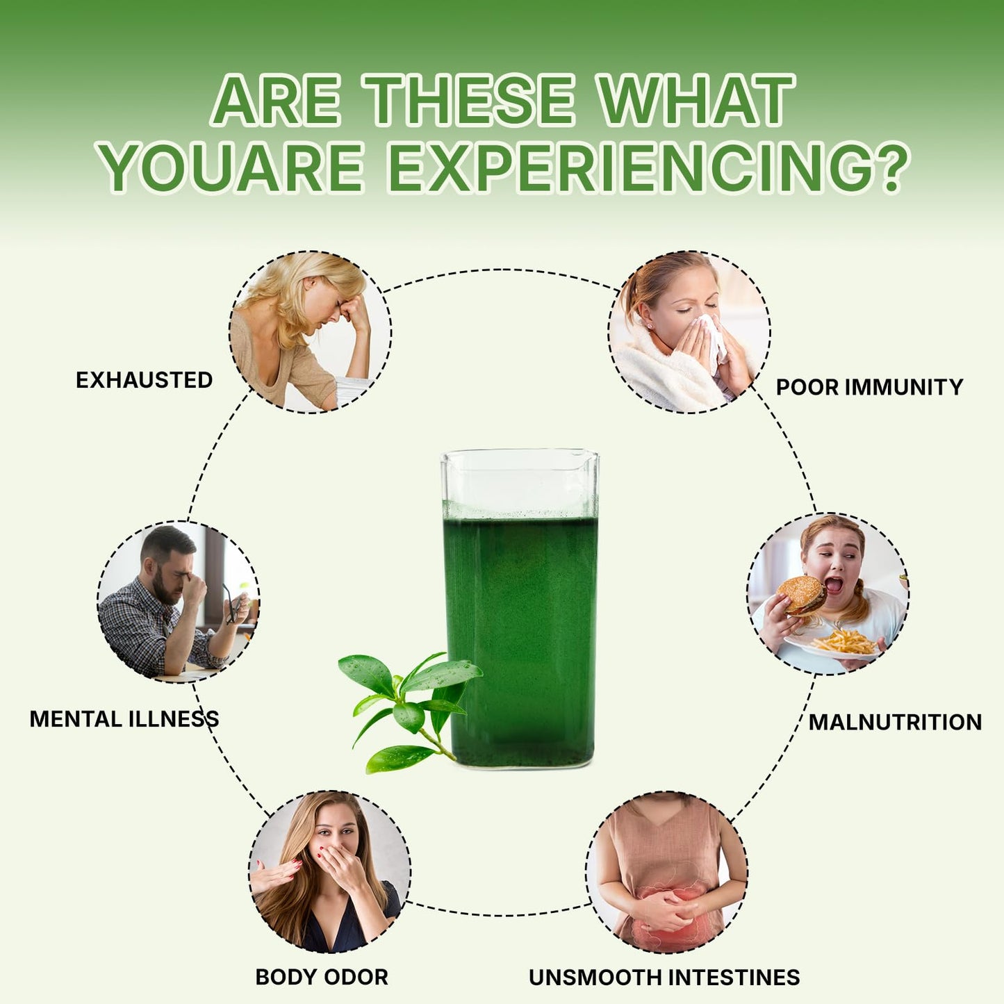 Lifebooil Chlorophyll Powder mixed into water illustrating effortless dissolution and vibrant green color.