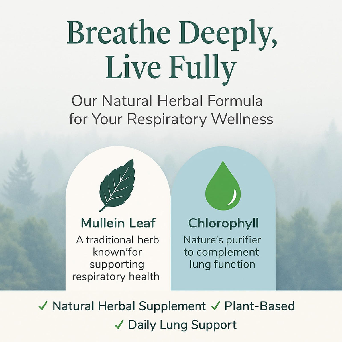 Ethale mullein leaf extract and chlorophyll formula product packaging