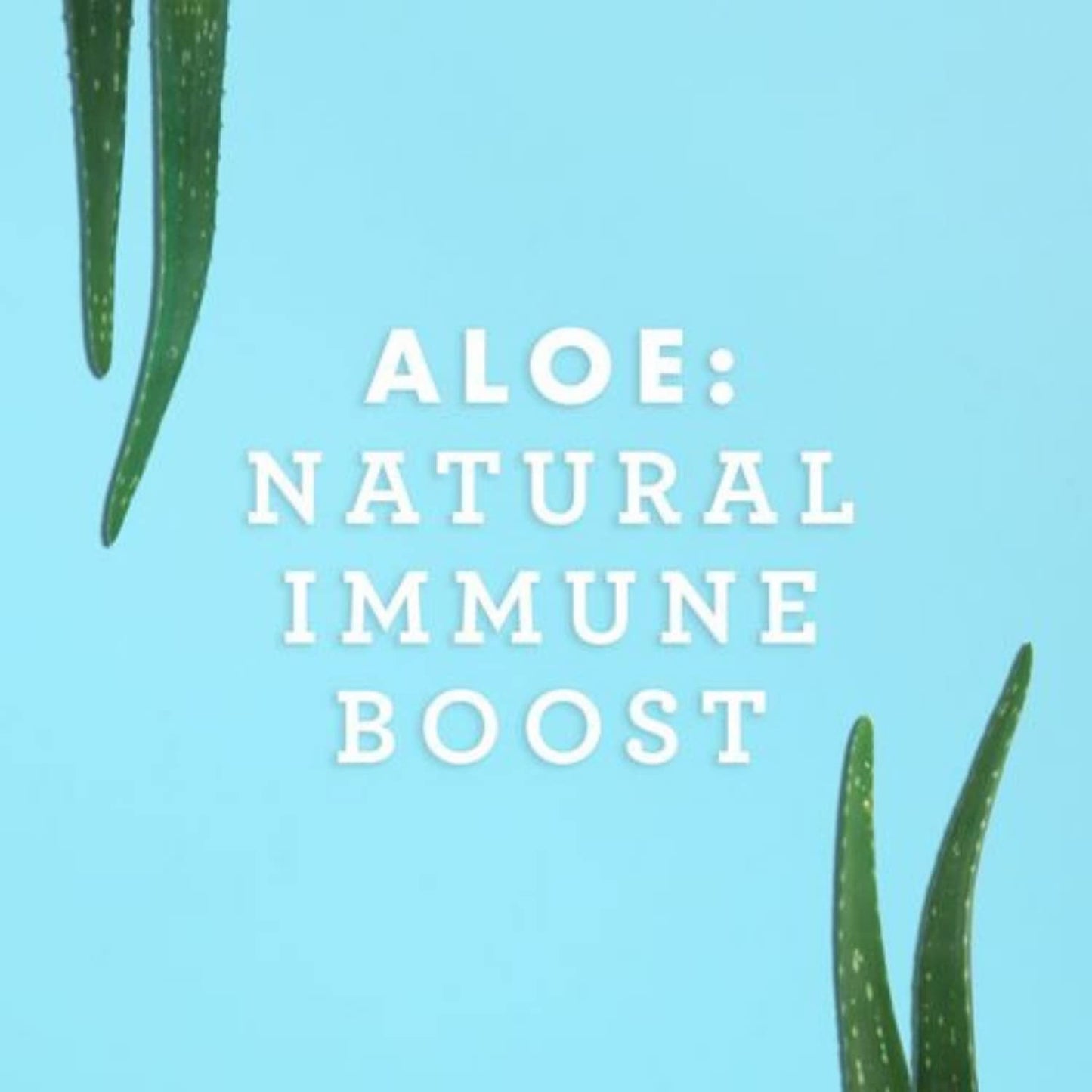 Lily of the Desert aloe vera juice bottle with wellness icons