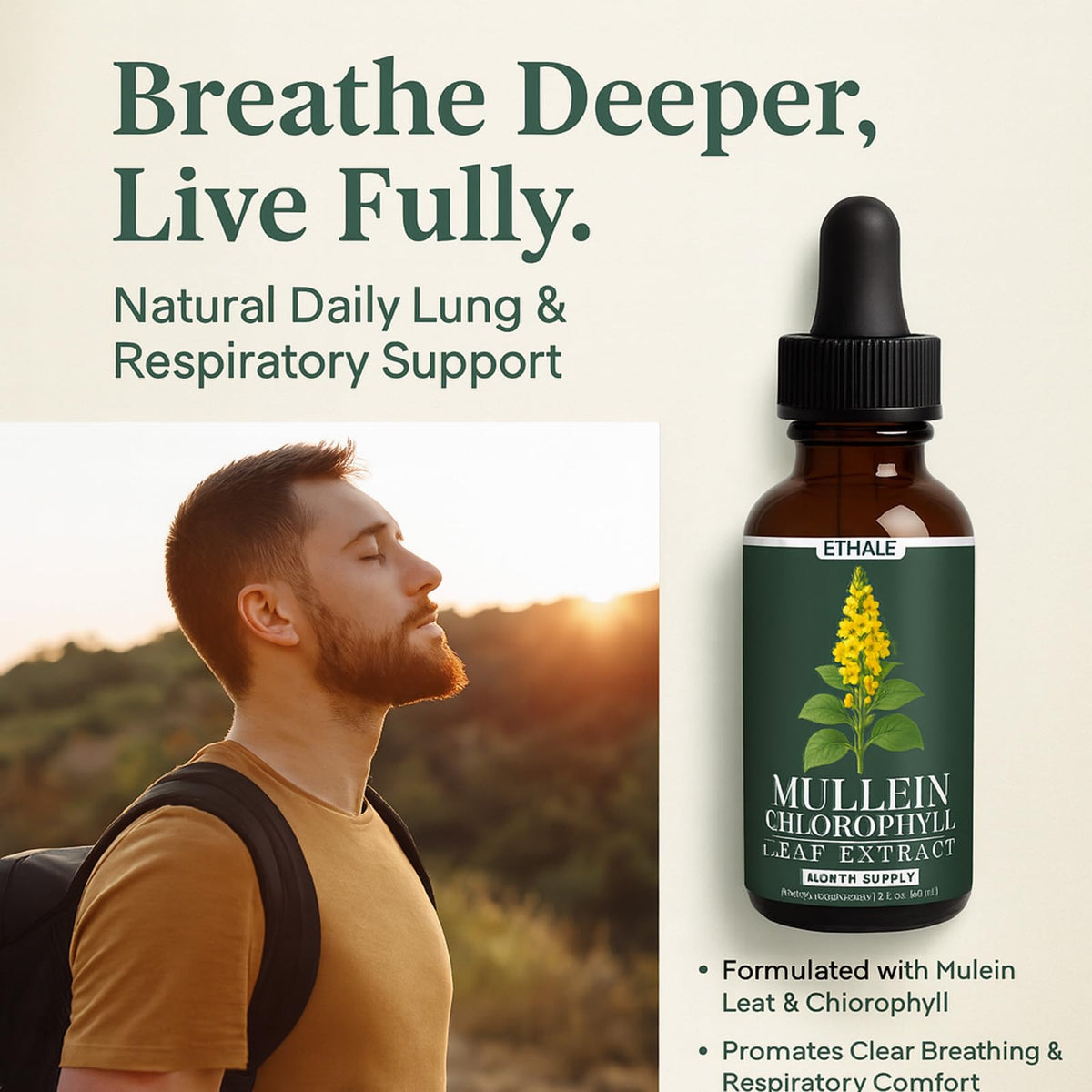 Ethale mullein chlorophyll liquid tincture 60 milliliter container label