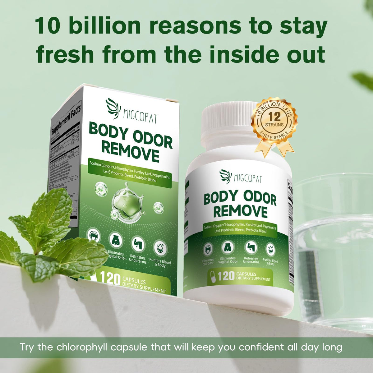 Premium plant based chlorophyll capsules with parsley and peppermint for whole body freshness display