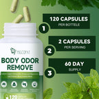 Gluten free flavorless chlorophyll capsules on a clean background highlighting gut health benefits