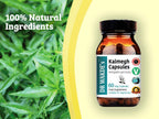 Pure Andrographis paniculata vegetarian capsules displayed next to the product packaging