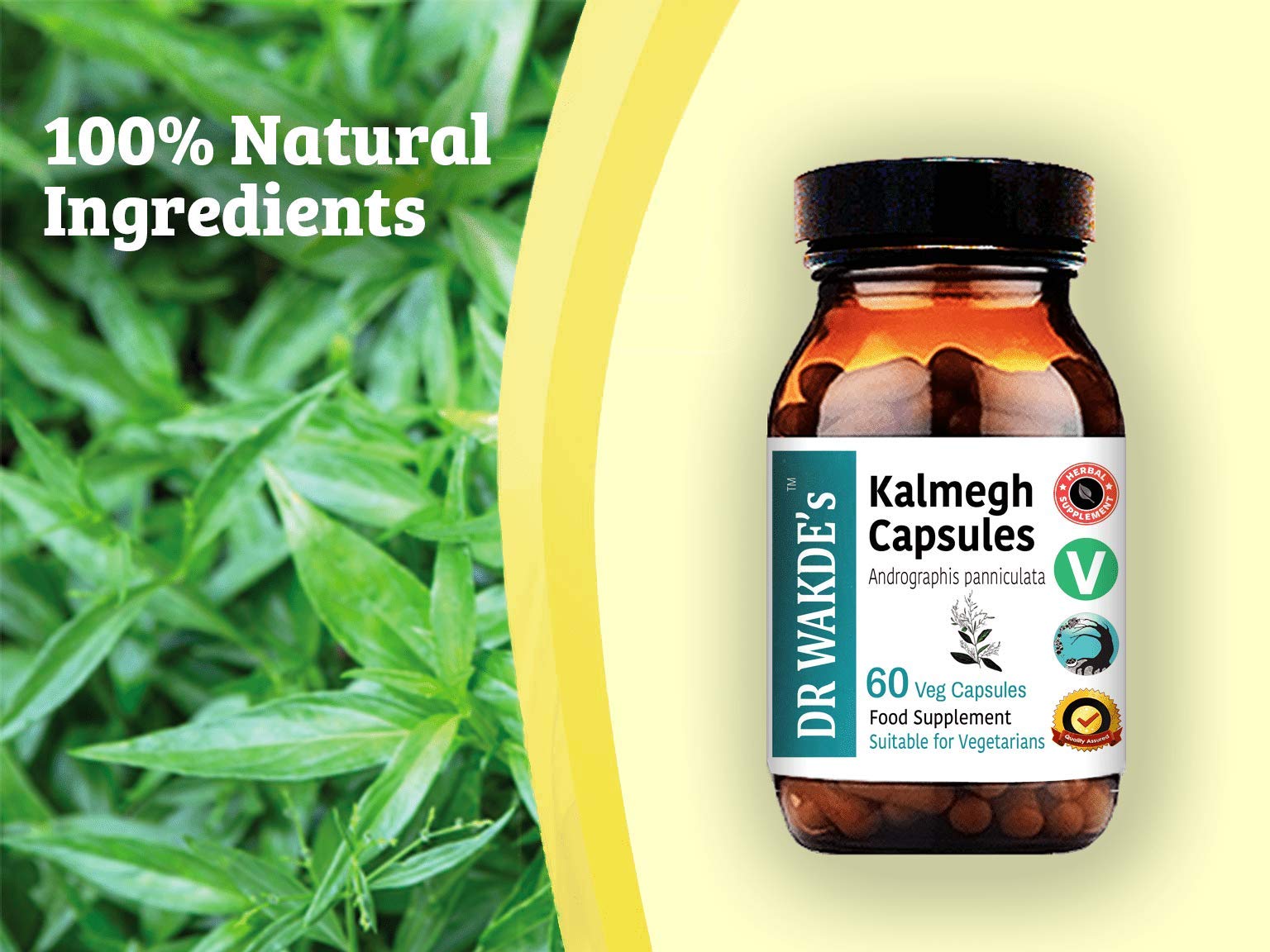 Pure Andrographis paniculata vegetarian capsules displayed next to the product packaging