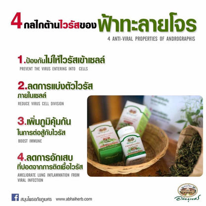 Abhaibhubejhr premium imported Kalmegh wellness capsules for seasonal respiratory health