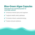 Nutritional facts label on the back of The Synergy Company blue green algae capsules bottle.