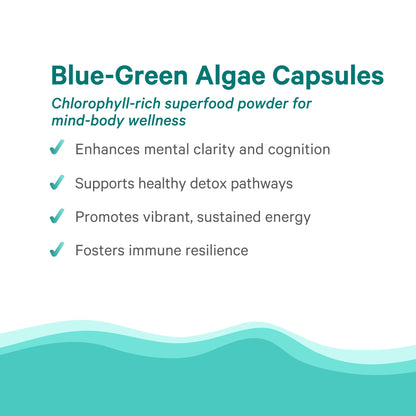 Nutritional facts label on the back of The Synergy Company blue green algae capsules bottle.