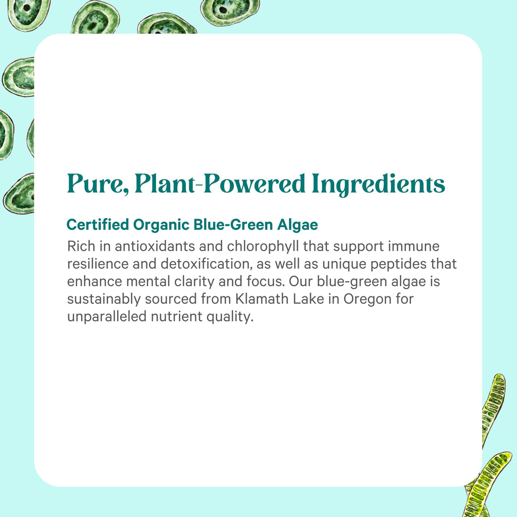 Pure Synergy green superfood bottle with chlorophyll capsules placed on a clean surface.