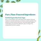 Pure Synergy green superfood bottle with chlorophyll capsules placed on a clean surface.