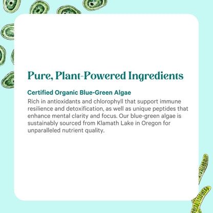 Pure Synergy green superfood bottle with chlorophyll capsules placed on a clean surface.