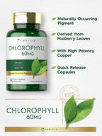 Carlyle Chlorophyll concentrate non-GMO and gluten-free certification icons on bottle