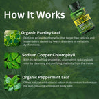 Organic chlorophyll internal deodorant capsules for body odor relief