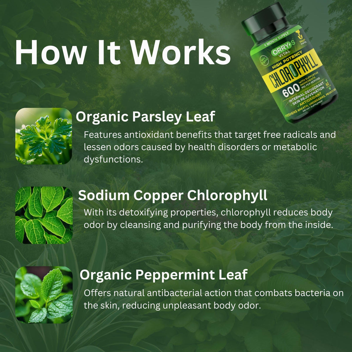 Organic chlorophyll internal deodorant capsules for body odor relief