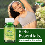 Authentic Organic Zing Kalmegh extract capsules imported online for Indian consumers