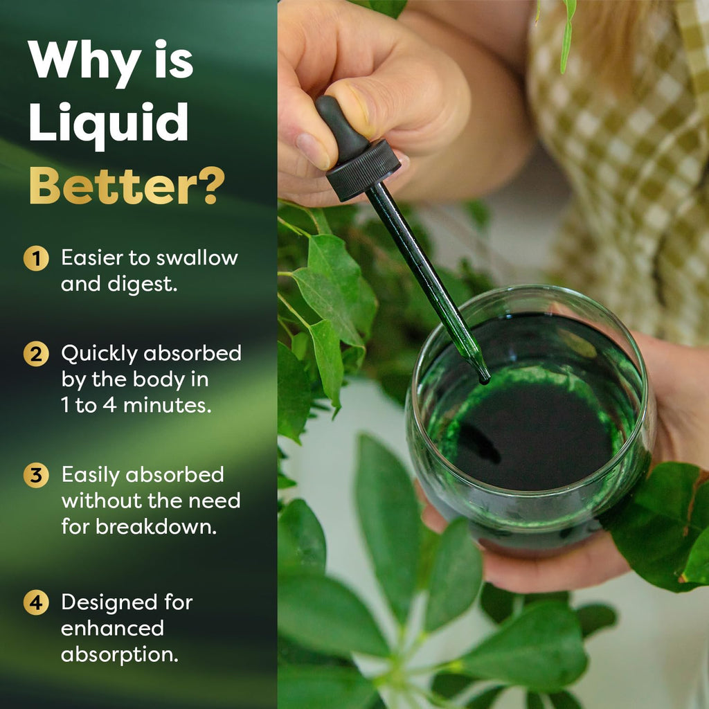 Best Naturals vegan chlorophyll liquid drops ingredient list and non GMO certification label