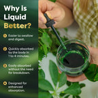Best Naturals vegan chlorophyll liquid drops ingredient list and non GMO certification label
