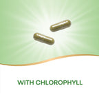 Back view of herbal non-GMO parsley leaf capsules listing vegetarian ingredient facts