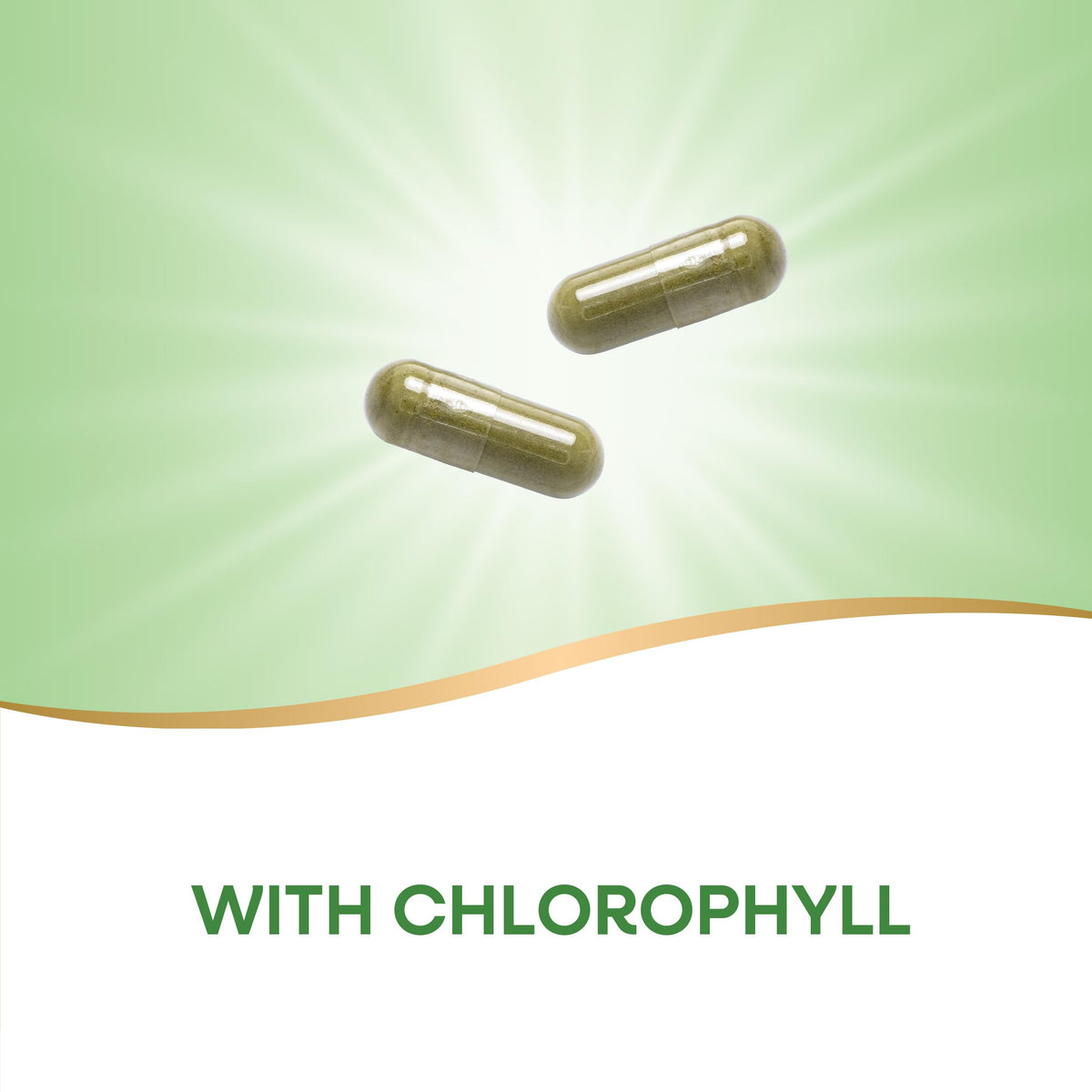 Back view of herbal non-GMO parsley leaf capsules listing vegetarian ingredient facts