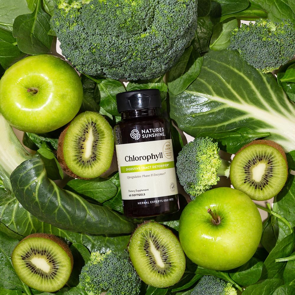 Nature's Sunshine Chlorophyll 60 count bottle side view with ingredients