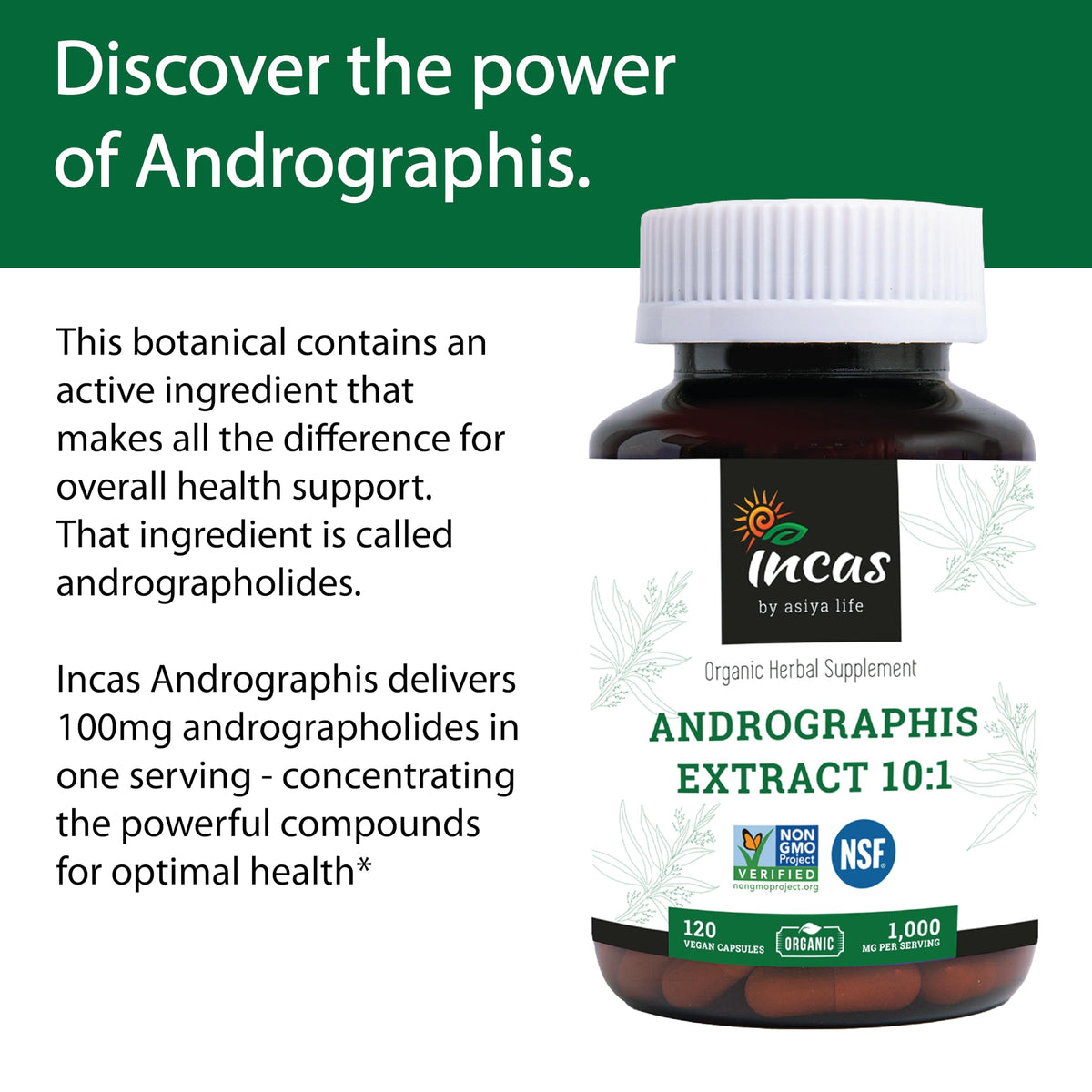 Side profile of organic non GMO verified andrographis capsules bottle showing NSF certification seal