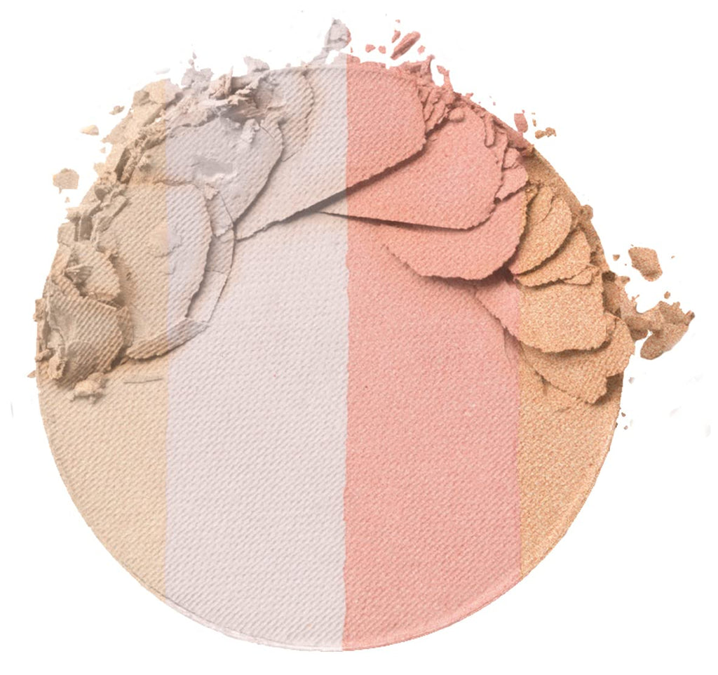 Wet n Wild face makeup palette back label and product details