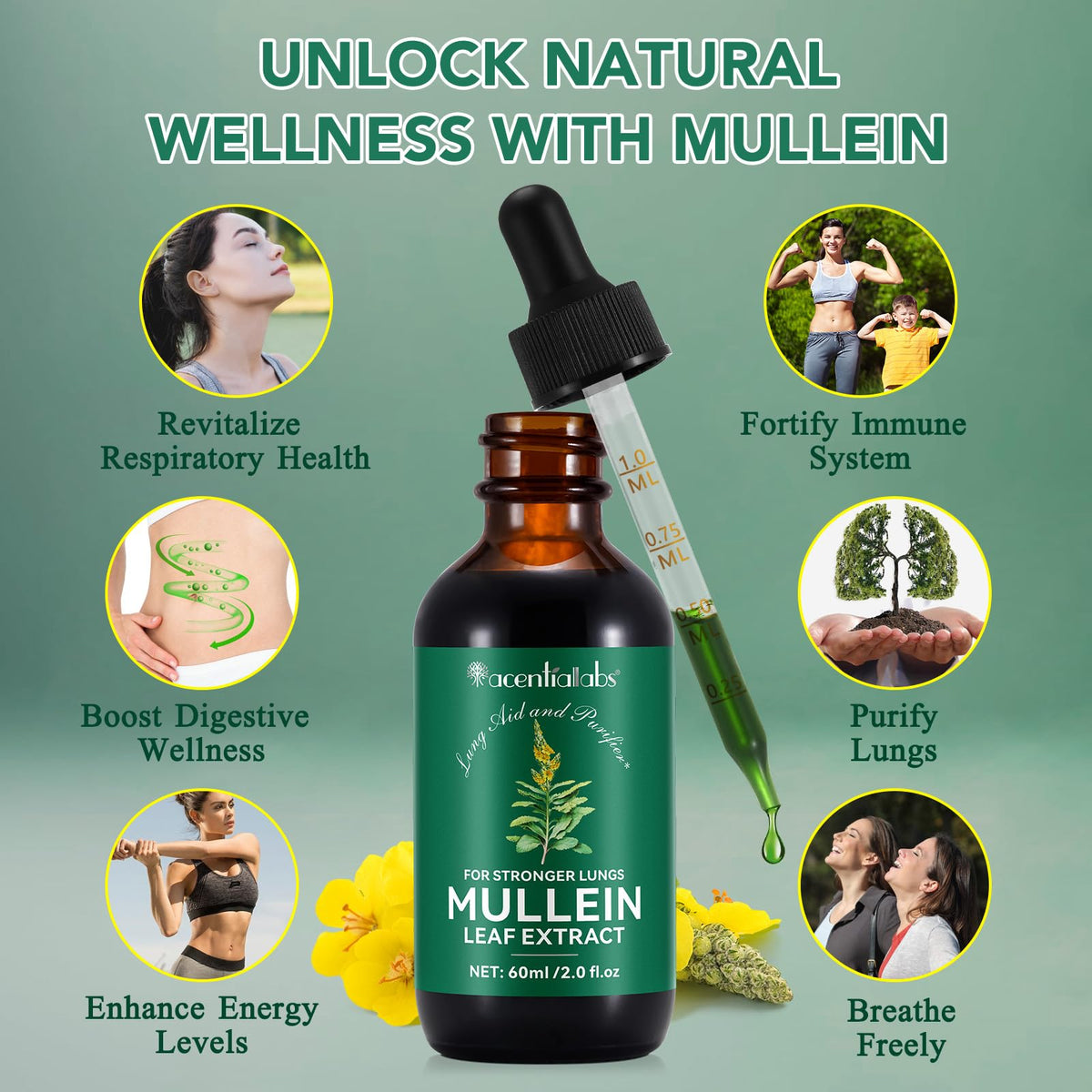 Side packaging view of Newseel mullein liquid with supplement facts and directions.