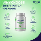 Sri Sri Tattva green chiretta tablets placed beside the packaging to demonstrate tablet size and texture.