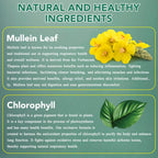 Premium packaging box of Newseel twin pack mullein extract for airway clearance.