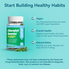 Sugar free chlorophyll supplement nutritional facts and natural detox benefits.
