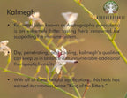 Ayurvedashree immune defense supplement container highlights highlighting non GMO and vegan attributes
