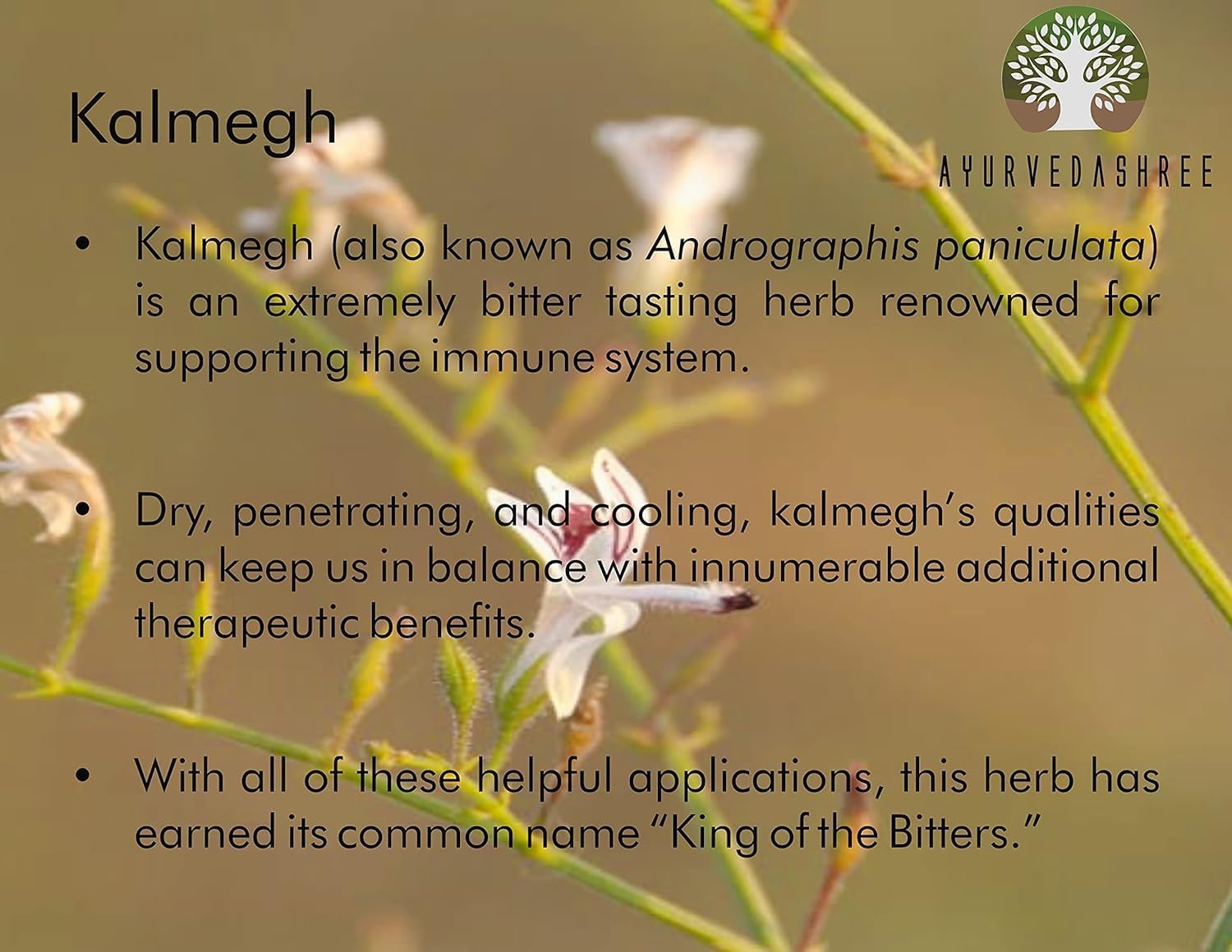 Ayurvedashree immune defense supplement container highlights highlighting non GMO and vegan attributes