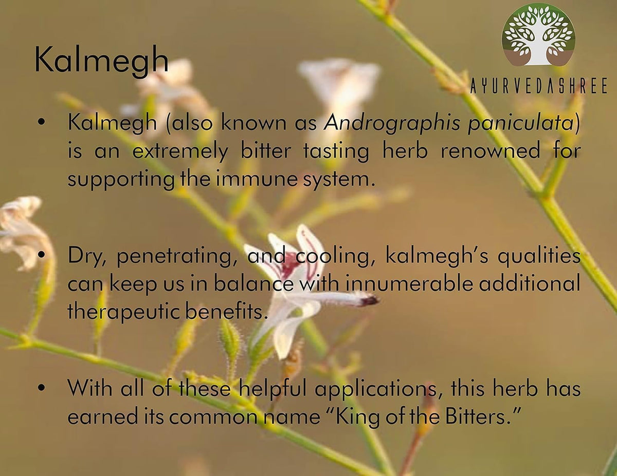Ayurvedashree immune defense supplement container highlights highlighting non GMO and vegan attributes