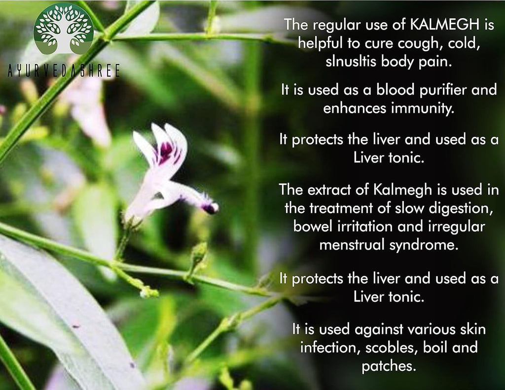Close up of 100 grams King of Bitters powder used for respiratory health and sinus support