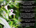 Close up of 100 grams King of Bitters powder used for respiratory health and sinus support